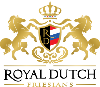 Royal Dutch Friesians