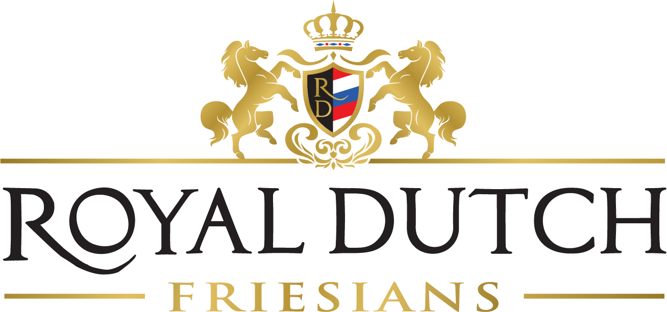 Royal Dutch Friesians